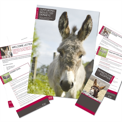 adopt a donkey adopt a donkey